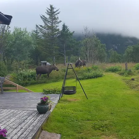 Lofoten * Lyngværet