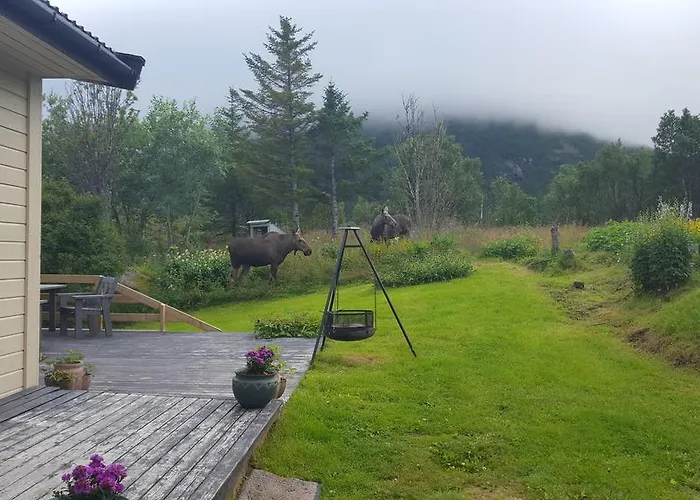 Lofoten * Lyngværet